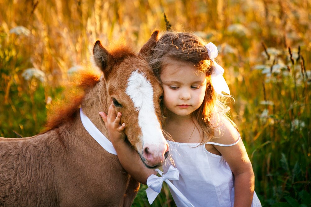 Baby pony