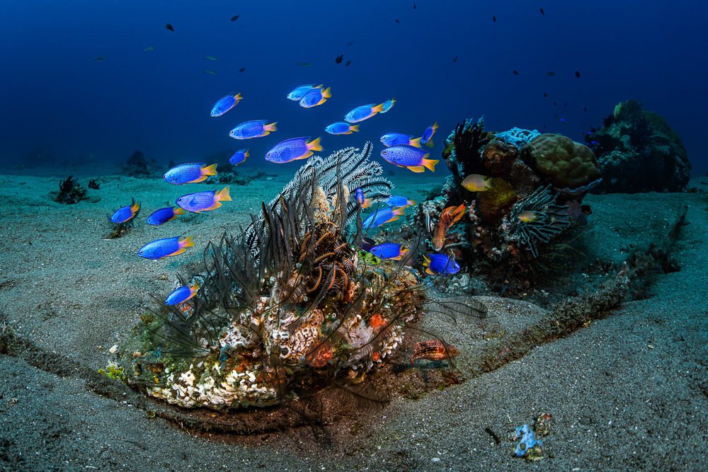 Photograph by Андрей Савин