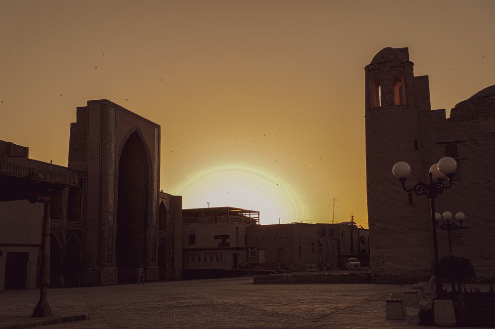 Photograph by davlat urozaliev
