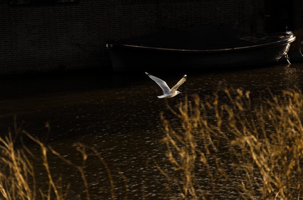 Photograph by Kamil Izzudin