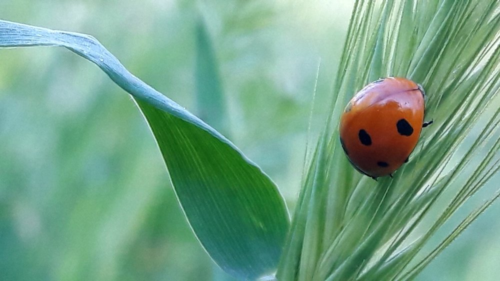 Photograph by Mozhgan Fotouhi