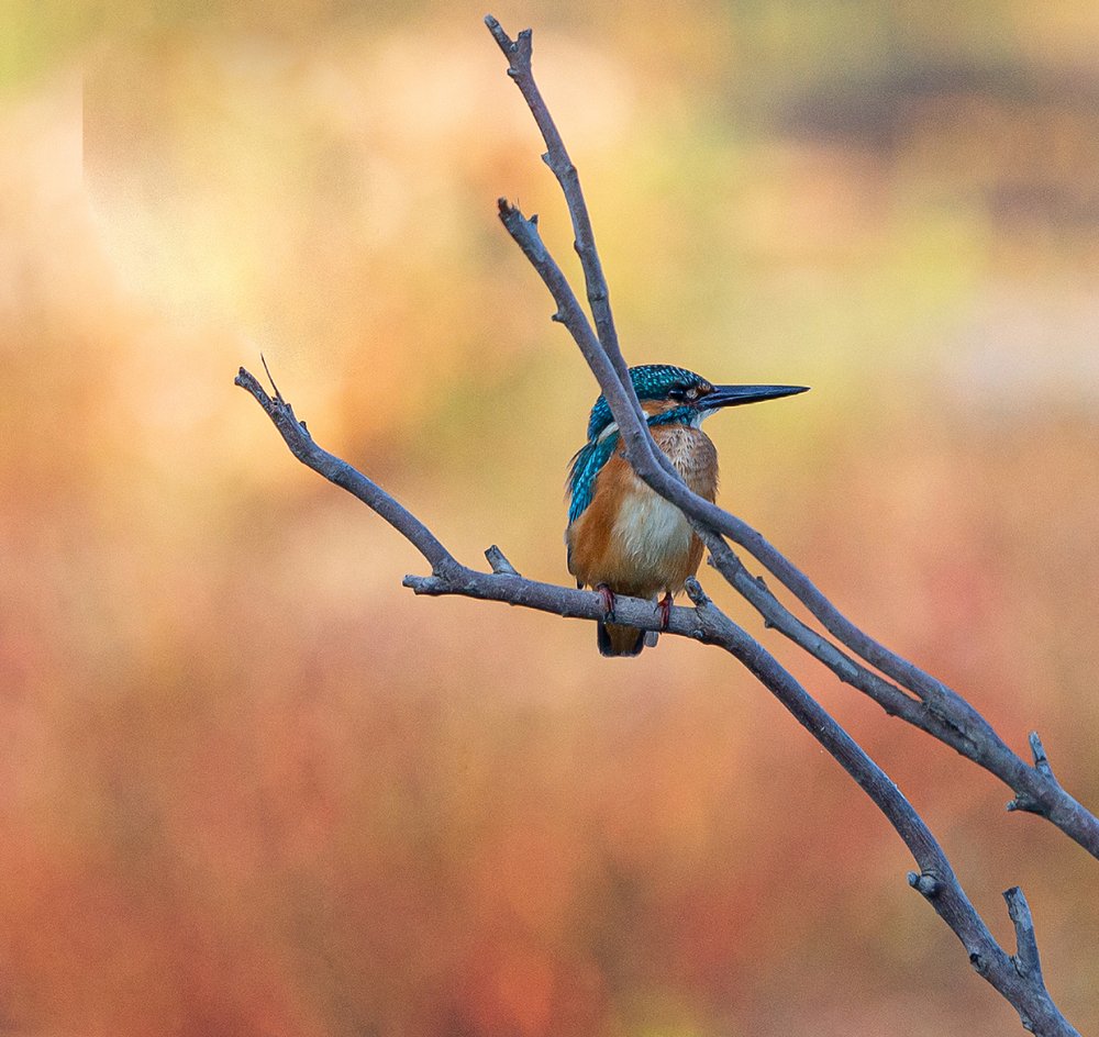 Photograph by Vladimir Sarichev