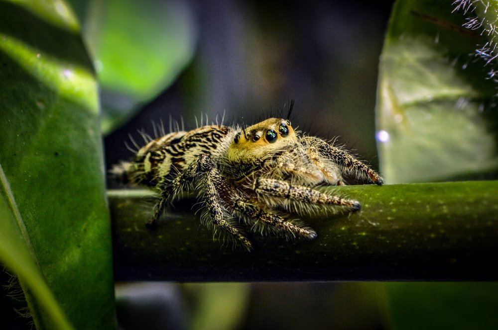 Photograph by Barry cyh