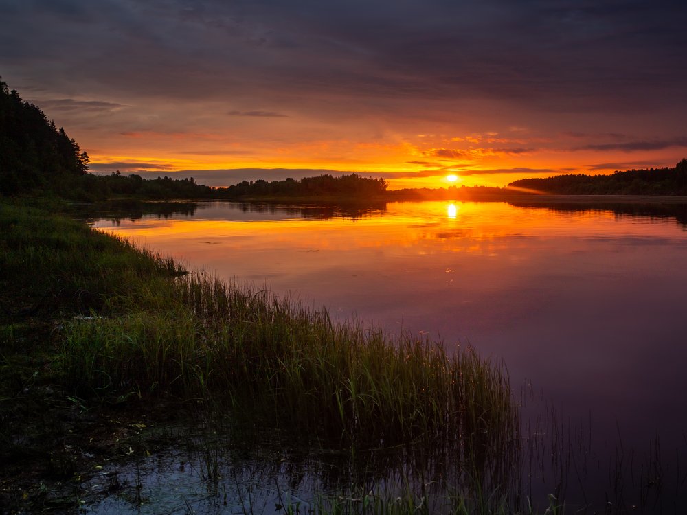 Фотография автора Панагушин Сергей