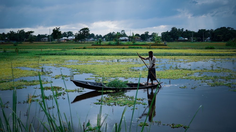 Nature and Boatman