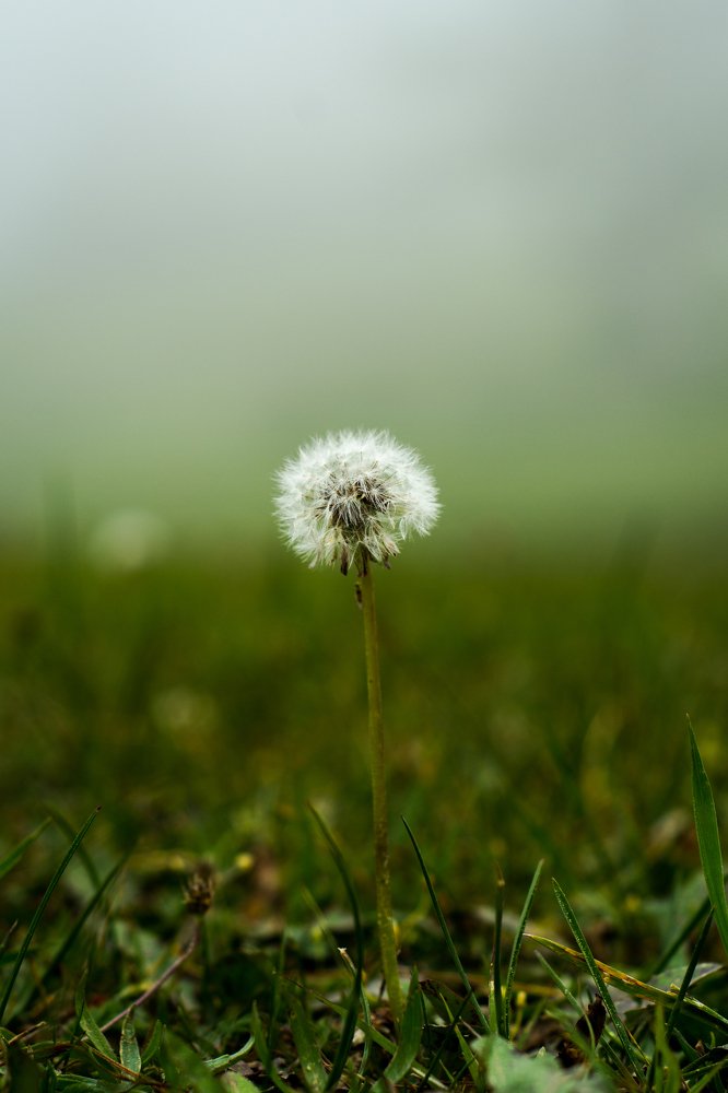 Photograph by Ahmad Bilal Cheema