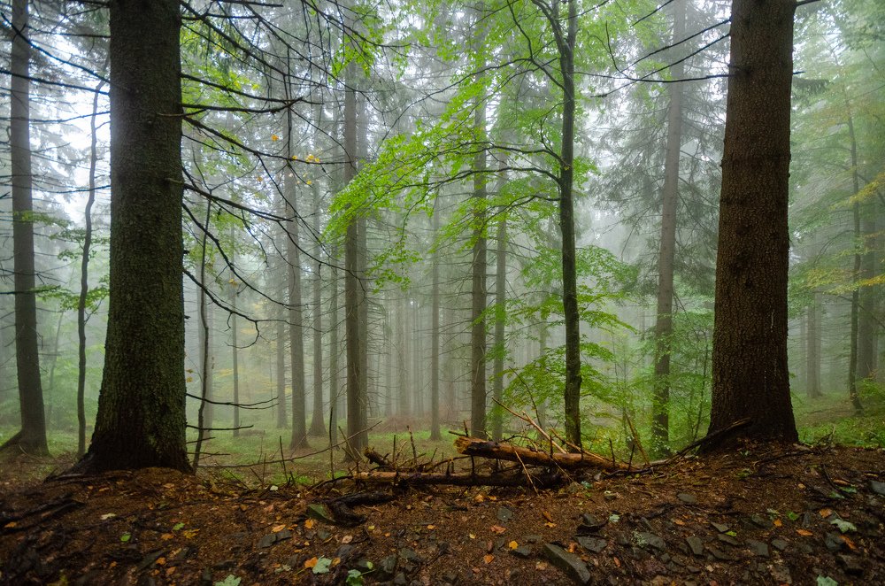 Photograph by  Mykhailo