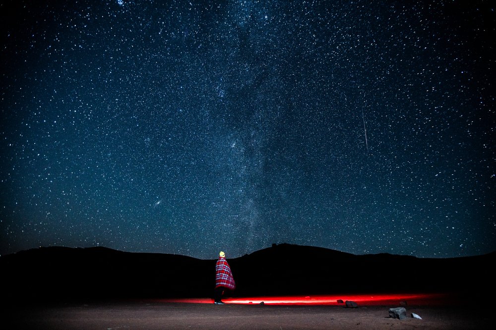 blinded by the lights