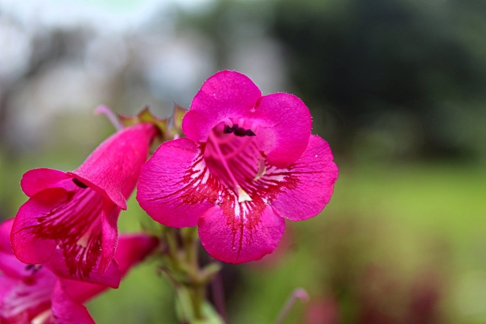 Фотография автора Frezer Asfaw