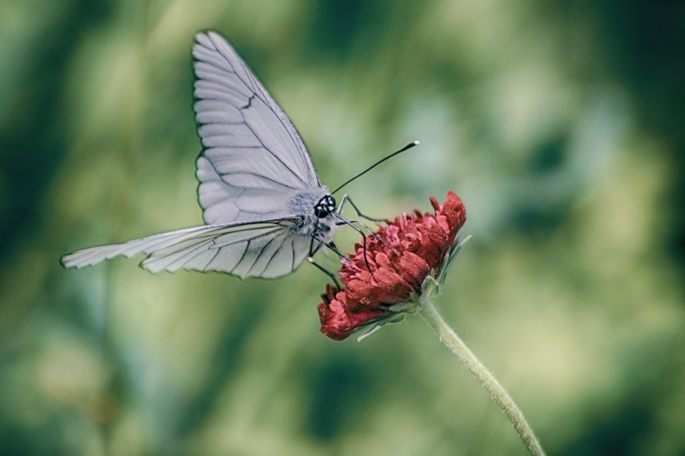 Photograph by Teodora Sarbinska