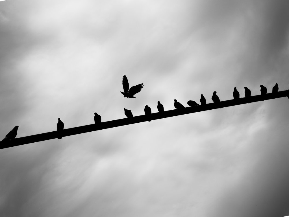 Photograph by Алена Алалыкина