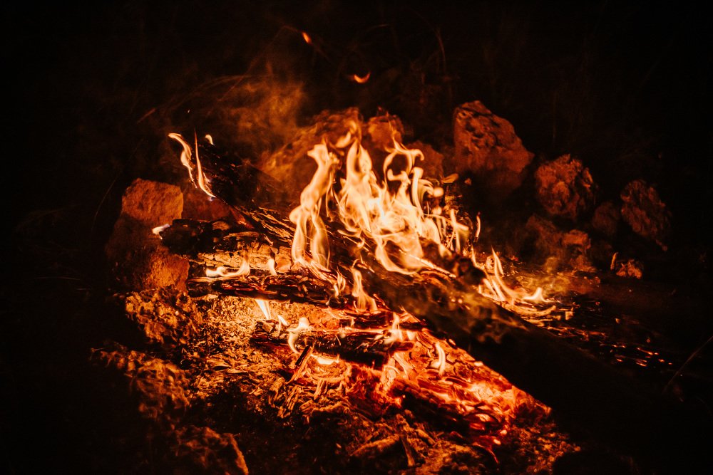 Фотография автора Паша Петров