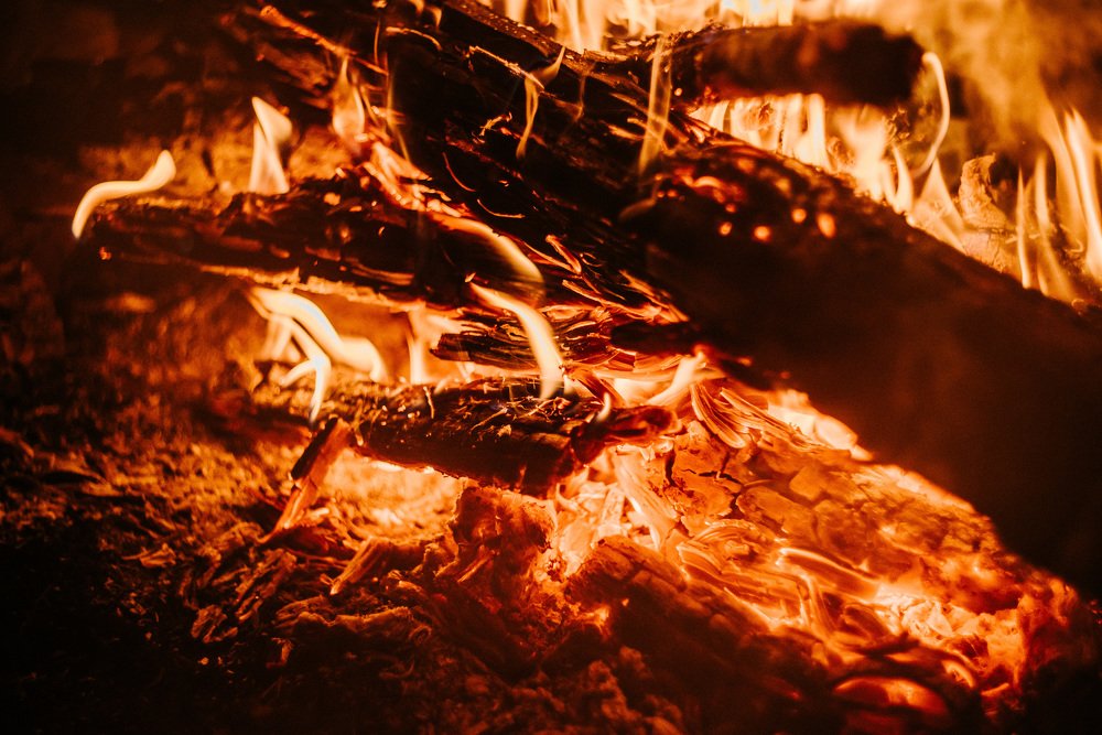 Фотография автора Паша Петров