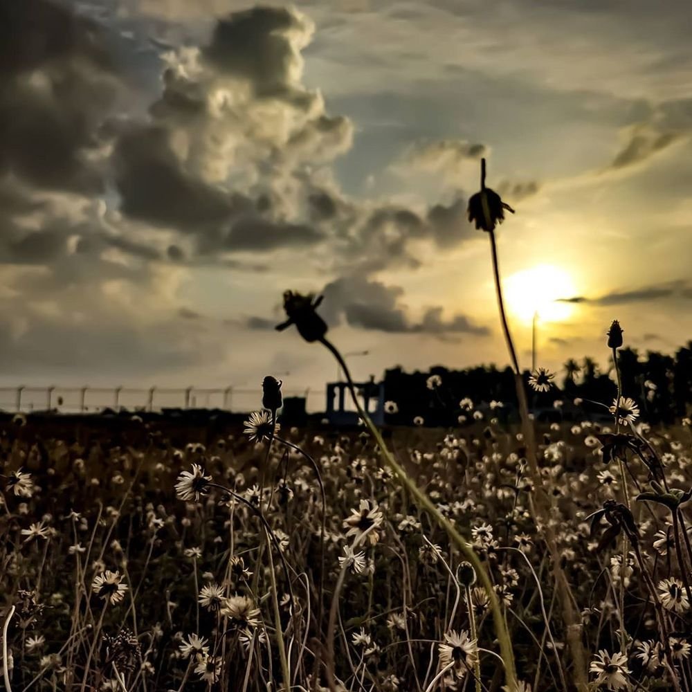 Photograph by Mikmal Ahmed