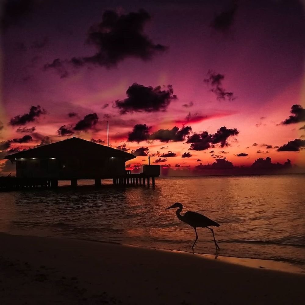 Photograph by Mikmal Ahmed