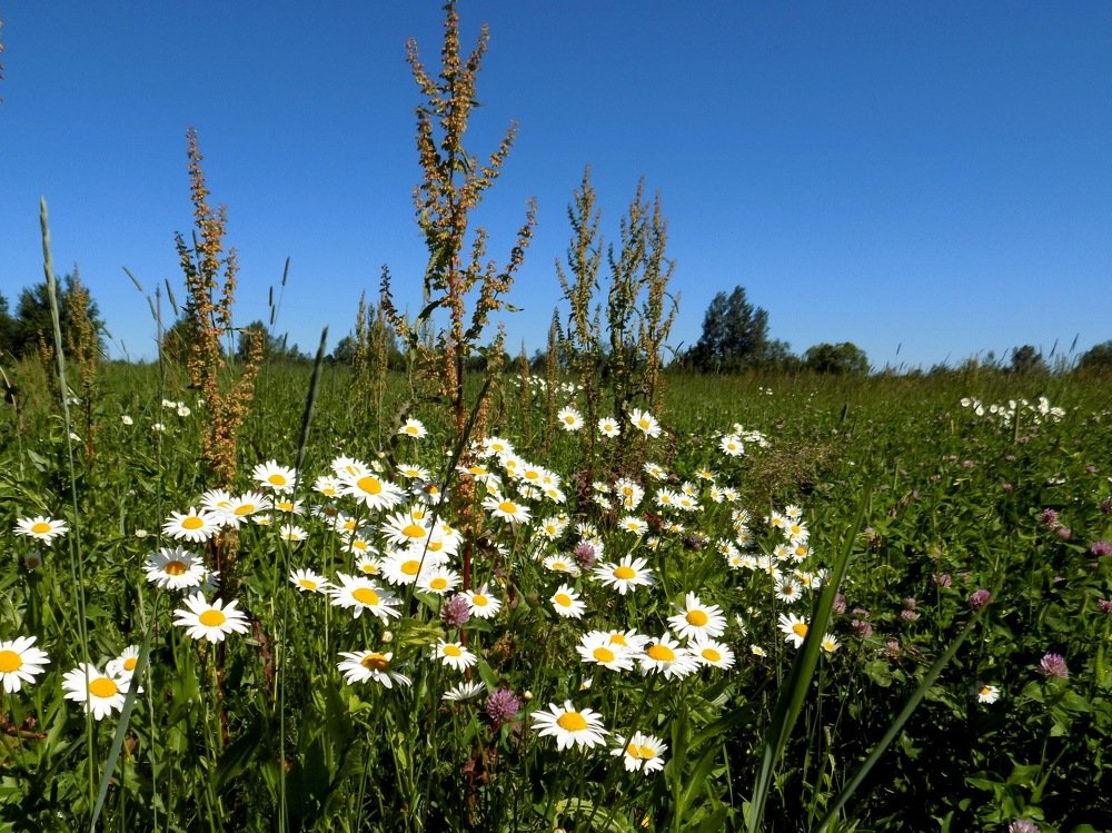 Photograph by Валентина Смирнова