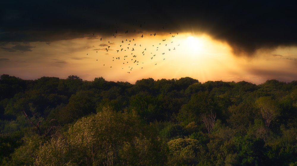 Photograph by Laurent