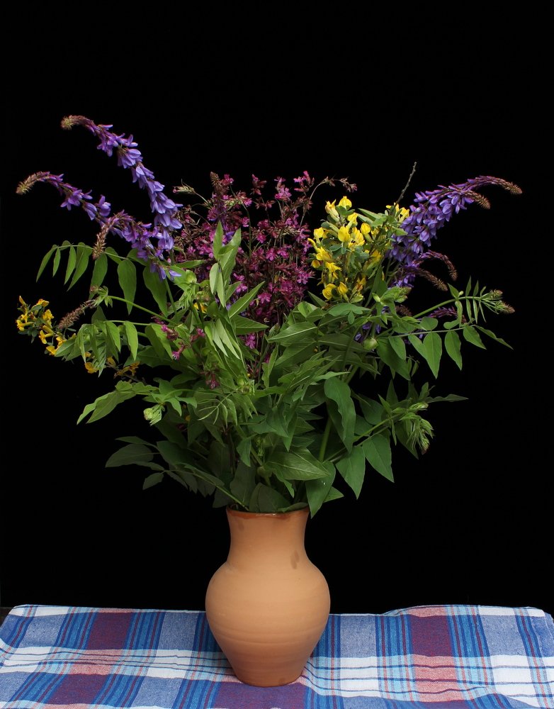 Photograph by Наталья Стальмакова