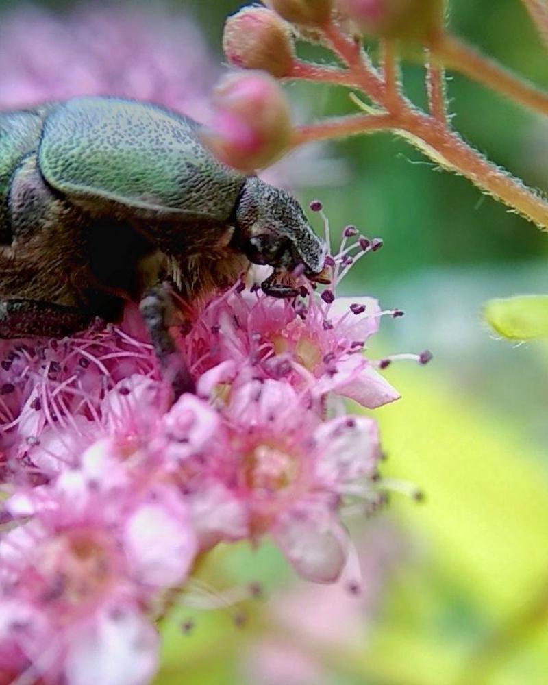 Photograph by Наталья Стальмакова