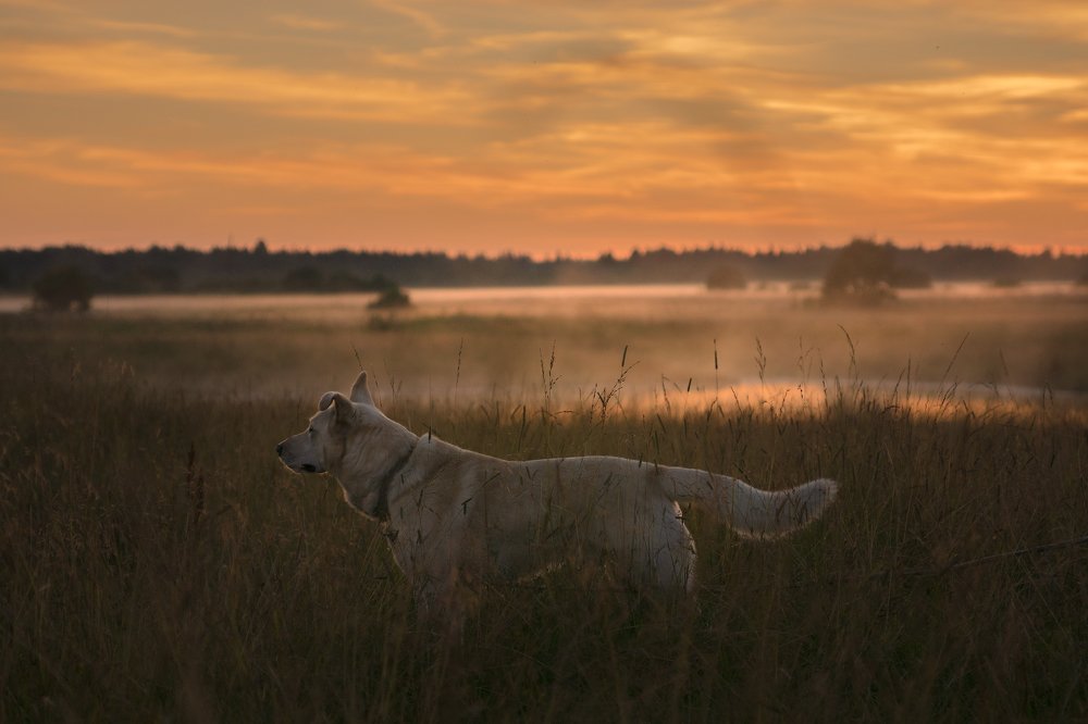 Photograph by Светлана Давыдова