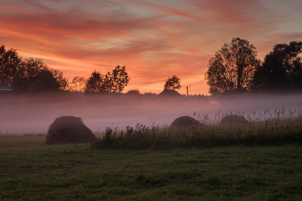 Photograph by Светлана Давыдова