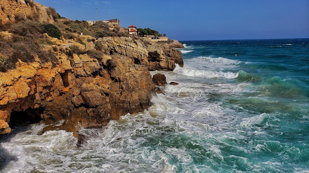 Photograph by Georgi Tomov