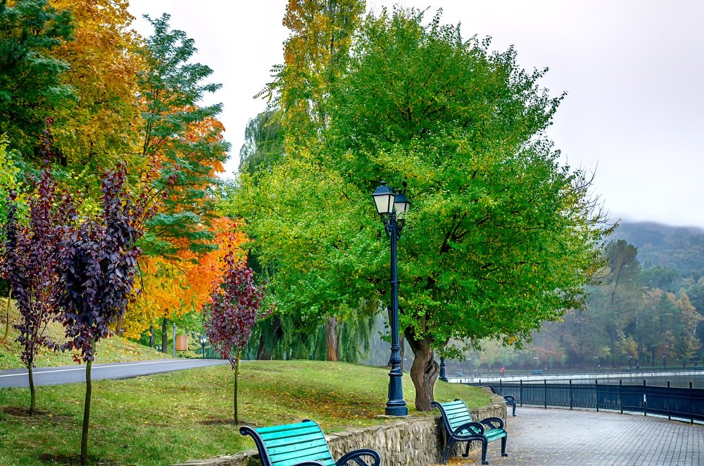 Осенняя набережная