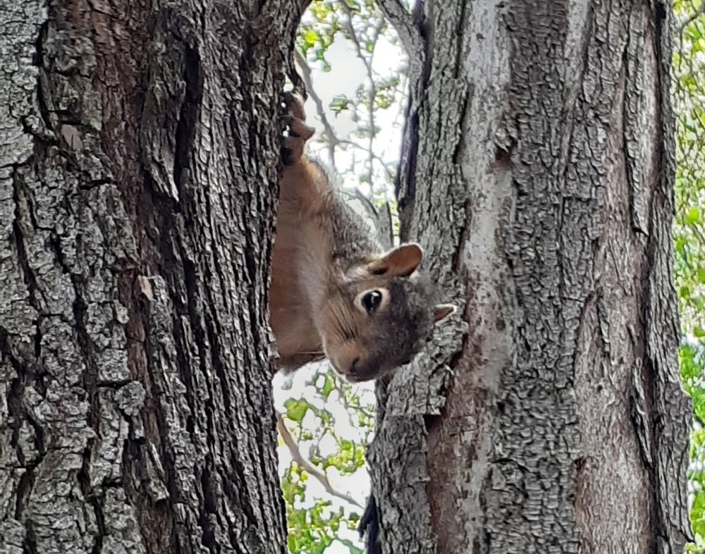 Photograph by Зинаида Кокарева