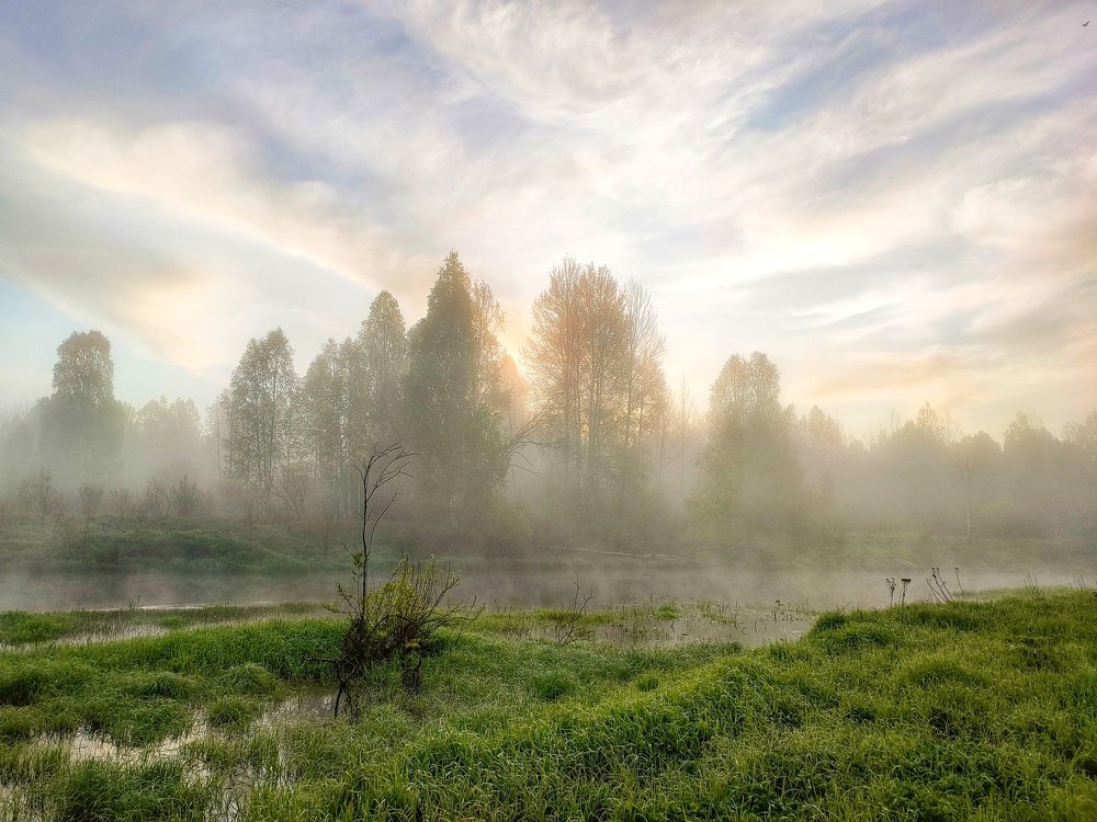 В рассветной дымке