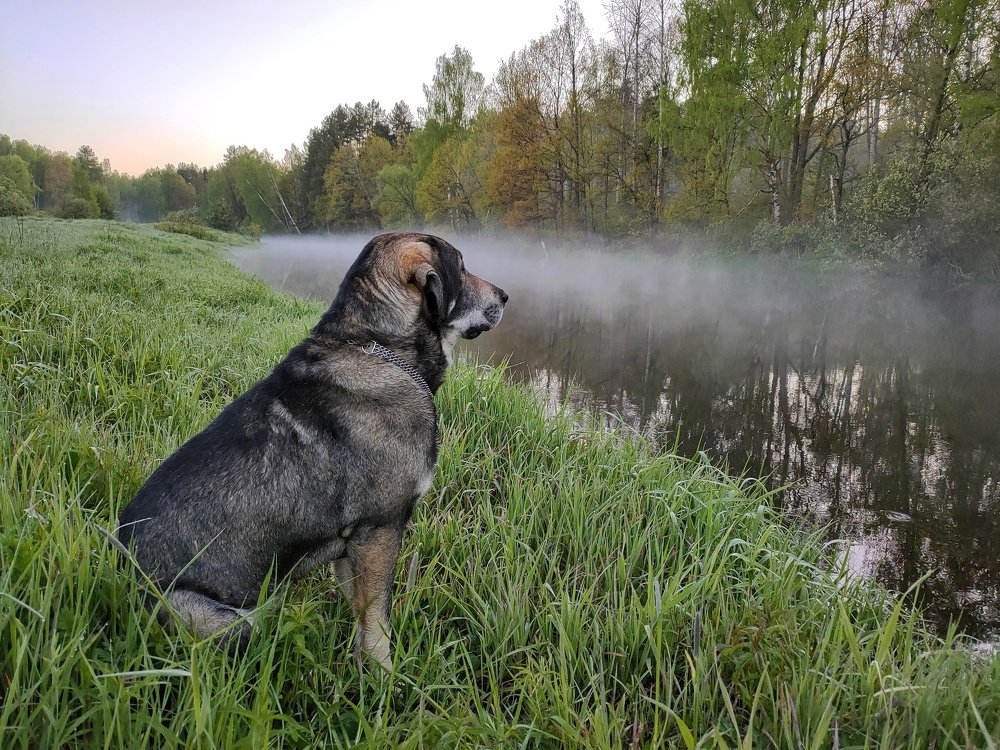Photograph by Алексей Ялышев