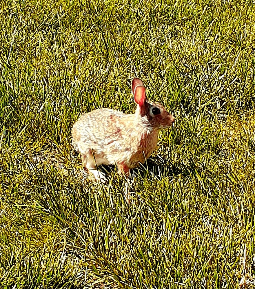 Photograph by Зинаида Кокарева