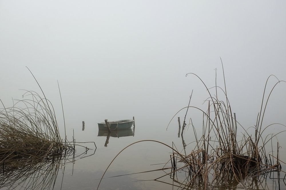 Photograph by Александр Остапчук
