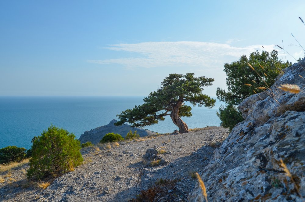 Photograph by Андрей