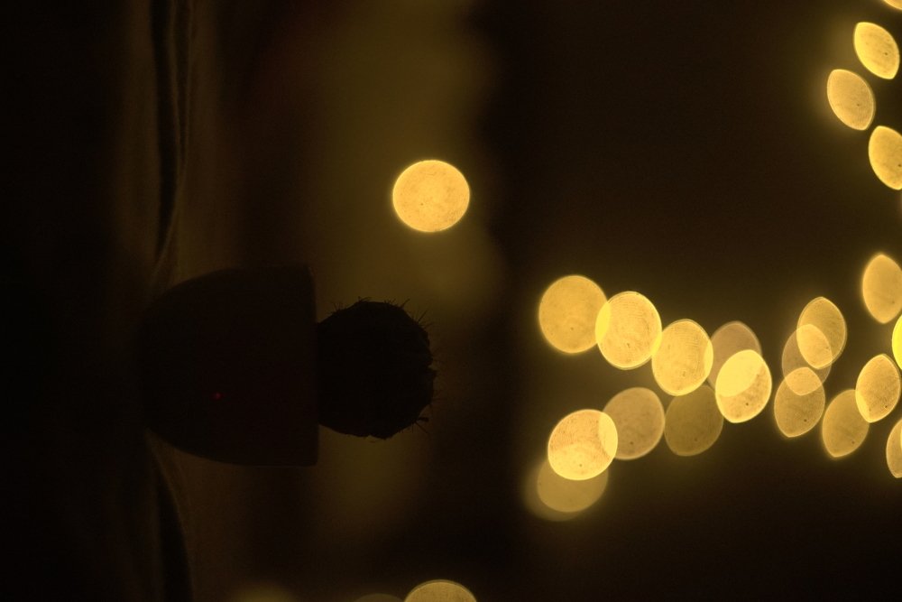 Photograph by yahaira revilla canales