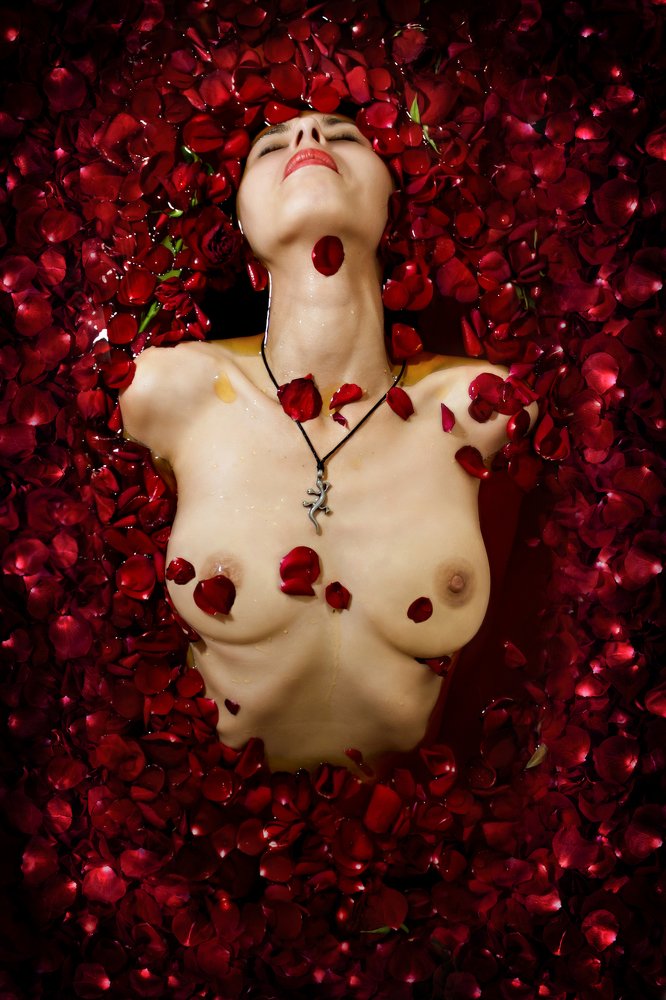 The Rose. (Wild)