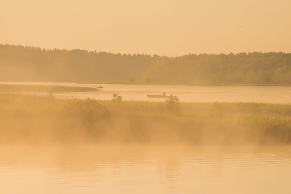 Photograph by Артем Логинов