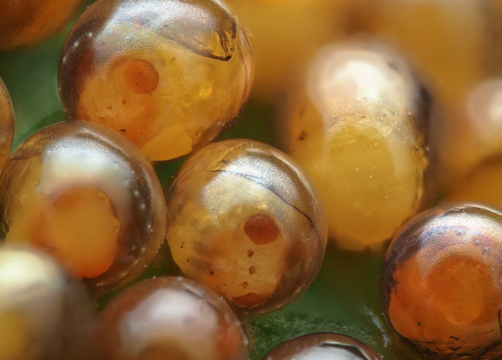 Photograph by Глебов Максим