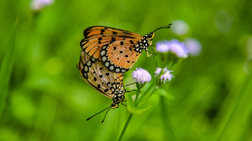 Photograph by Barry cyh