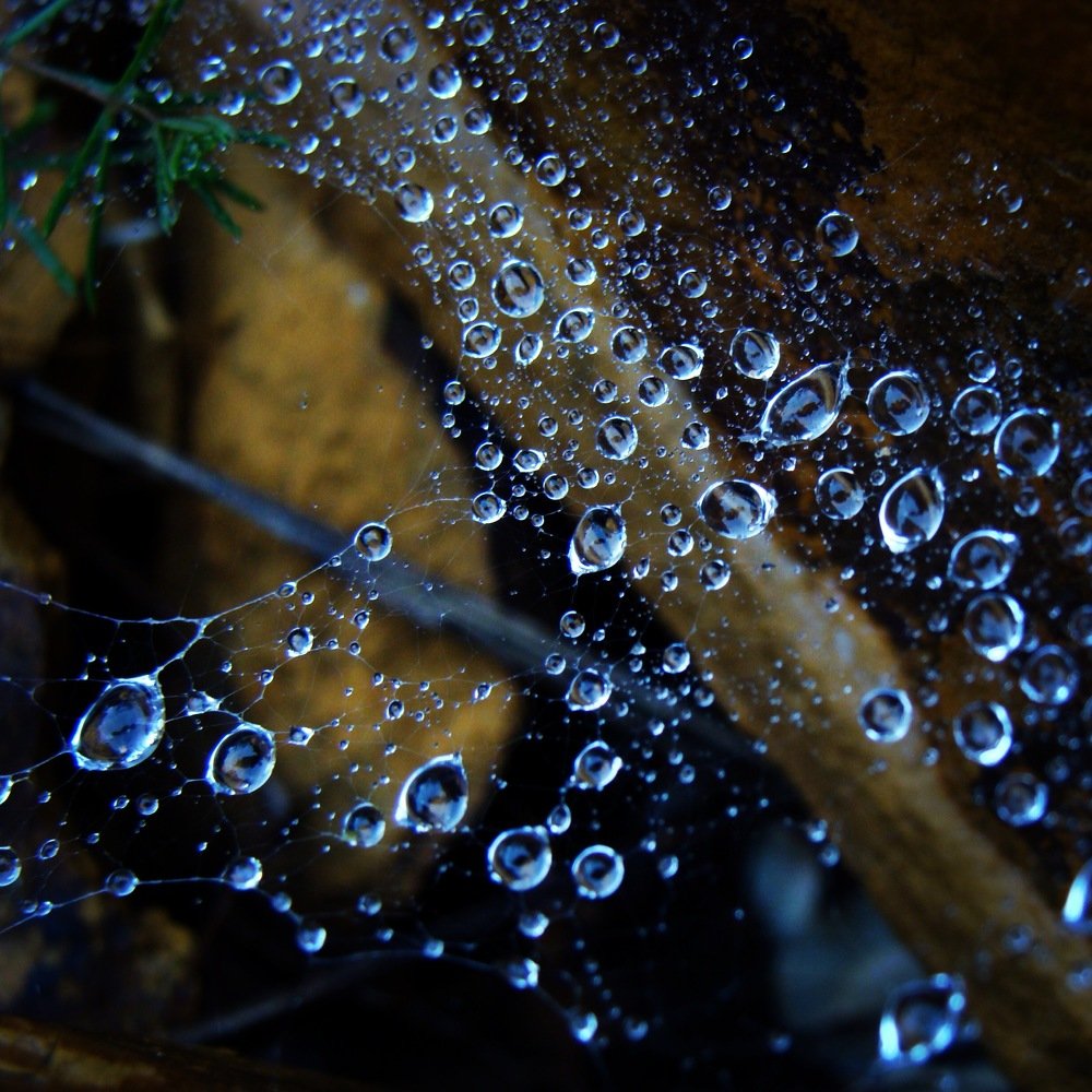 Photo #4690102