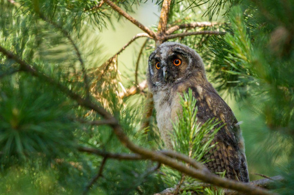 Photograph by Артем