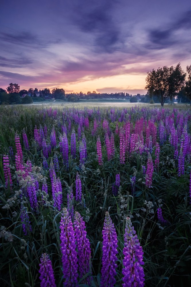Photograph by Александр Смирнов