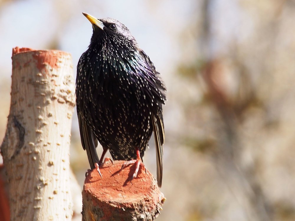 Photograph by Abdolreza Aleagha