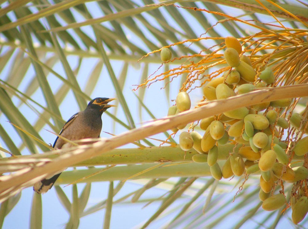 Photograph by Sarmad Sindhi