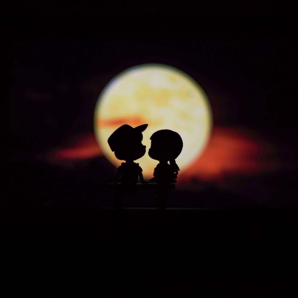 Photograph by Pc Akhil Nadh