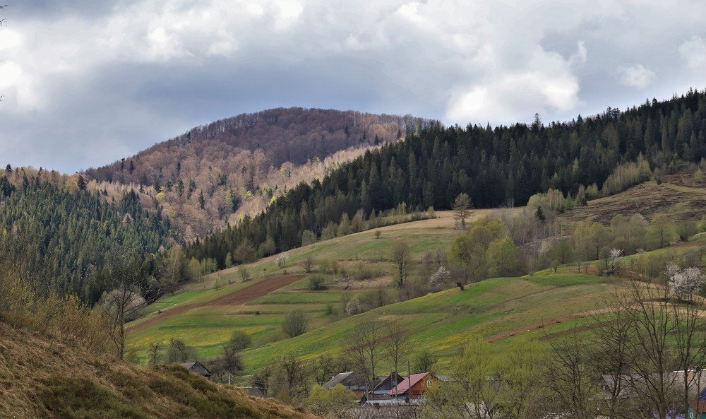 Photograph by Андрей Телибаев