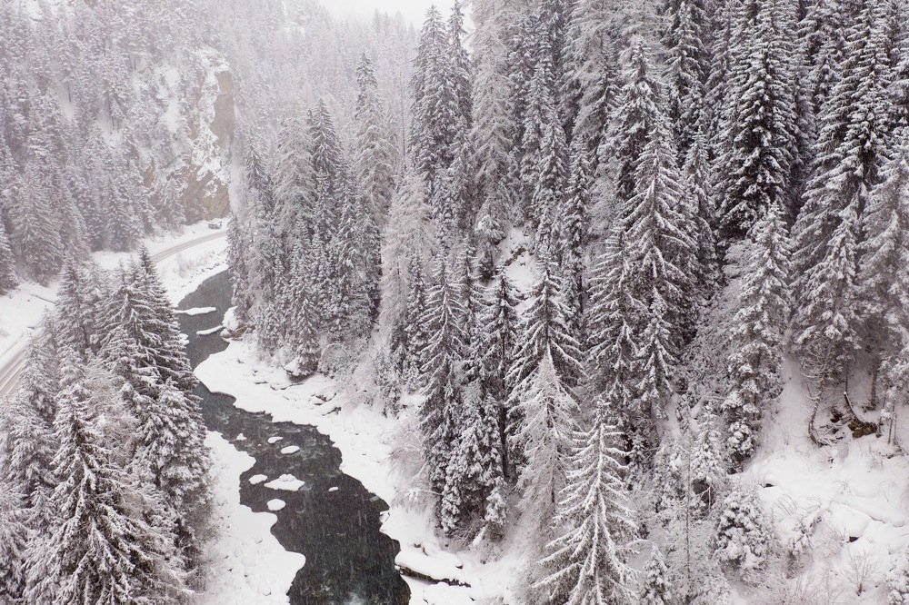 Photograph by Наталья Пирогова