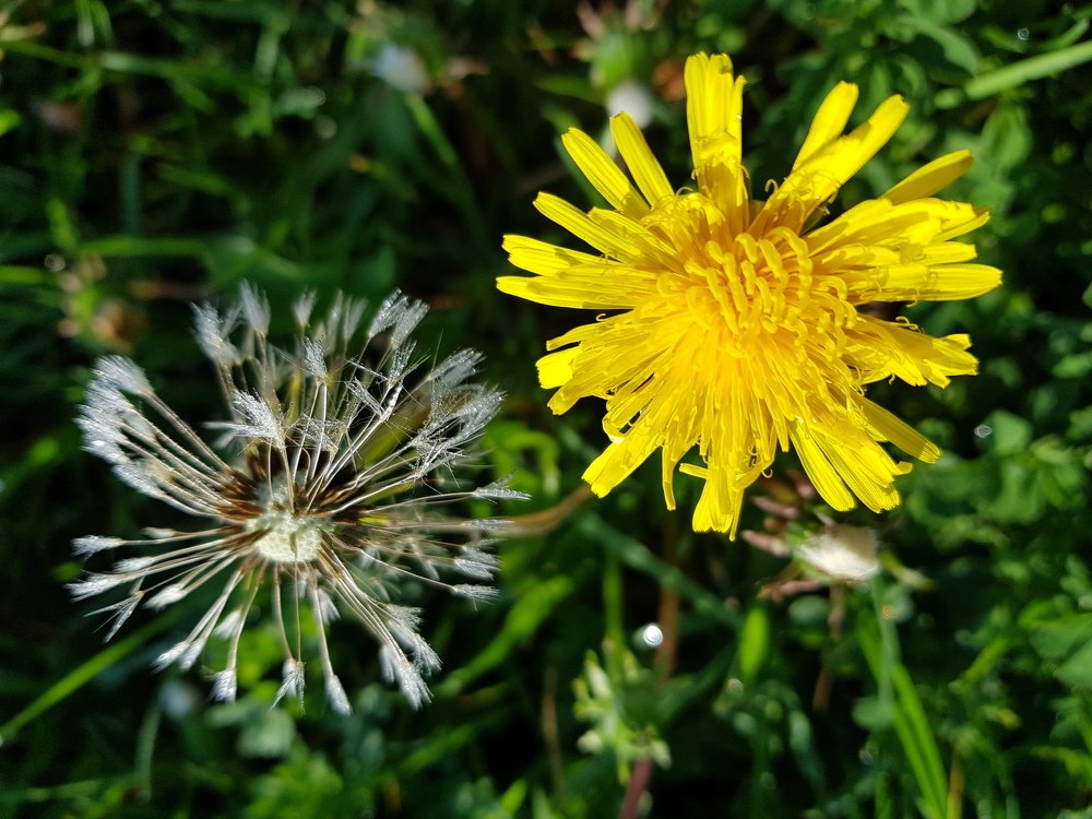 Photograph by Александра Пухкалова