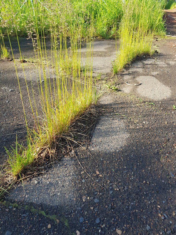 Photograph by Александра Пухкалова