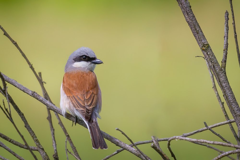 Photograph by Артем