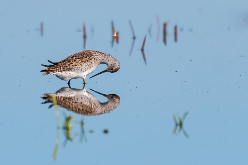 Photograph by Артем